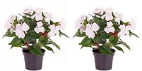 Bellatio Flowers & Plants Kunstplant Vlijtig Liesje - 2x - heester - wit - 25 cm