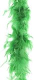 Merkloos Carnaval verkleed veren Boa - groen - 2 meter