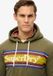 Superdry - Gestreepte relaxte hoodie met Venue-logo - Heren - Hoodies