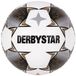 Derbystar Classic TT II - Maat 5 - Wit - Maat 5 - Volwassenen