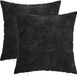 vidaXL Taie d'oreiller 2 pièces Anthracite 35 x 35 cm Tissu Chenille