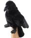 Uni-Toys - Handpop Raaf met draaibare kop - 31 cm
