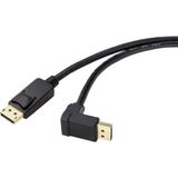 Renkforce SP-9163724 Câble DisplayPort Câble de connexion DisplayPort Fiche DisplayPort, Fiche DisplayPort 0,50 m Noir