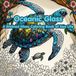 Oceanic Glass Stained Glass Coloring Book