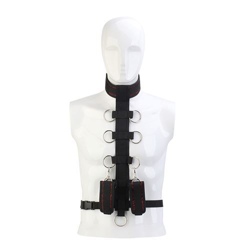 Blaze Deluxe Collar Body Restraint