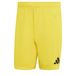 adidas heren Entrada26 Shorts, team yellow/black, XL