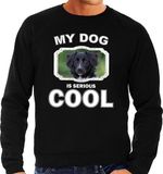 Bellatio Decorations Friese stabij Honden Trui / Sweater My Dog Is Serious Cool Zwart - Heren - Friese Stabijs Liefhebber Cadeau Sweaters XXL