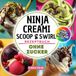 Ninja Creami Scoop & Swirl Rezeptbuch OHNE ZUCKER