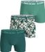 Bjorn Borg Boxers 3Pack Groen - Maat XL - Heren - Boxershorts