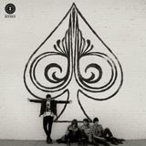 The Butch Walker and the Black Widows The Spade Coloured Vinyl LP