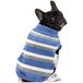 Alpha Dog Trui, blauwe strepen, XL, 40 cm