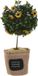 Item International Item Deurstopper plant - Geel - Polyester
