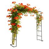 Relaxdays Rozenboog, metaal, HxBxD: 220 x 200 x 38 cm, stevige klimboog voor klimplanten, zwart