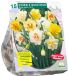 Baltus Bollen Narcis Dubbel mix 15 stuks