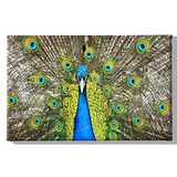 Homemania Afbeelding Peacock dieren, voor woonkamer, slaapkamer, meerkleurig van polyester, hout, 45 x 3 x 70 cm