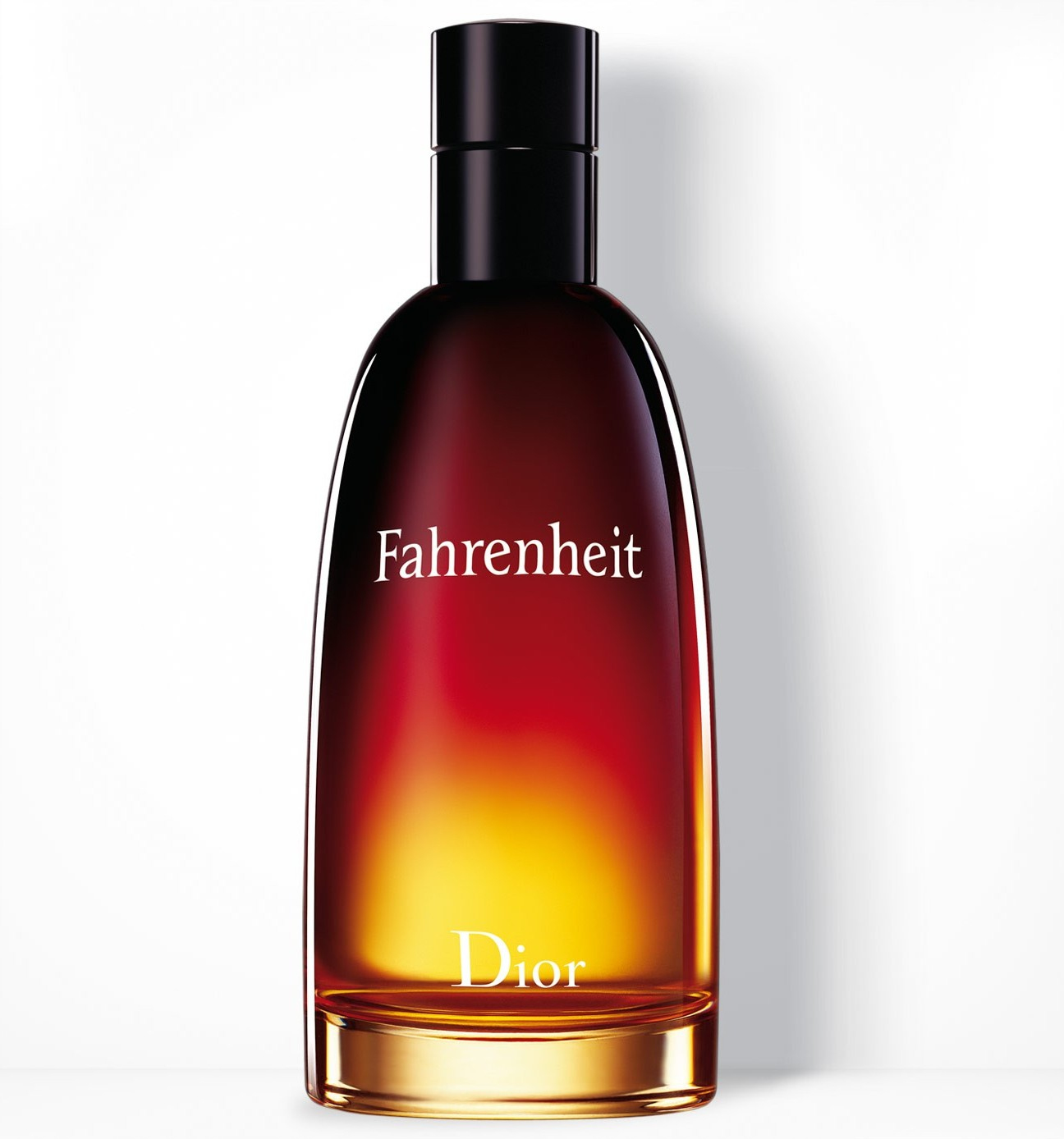 Dior Christian Dior / Fahrenheit / 100 ml / heren