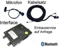 Icecat Bluetooth Premium (met rSAP) - Retrofit - VW Eos