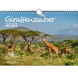 Giraffenzauber A4-kalender voor giraffen 2023 Seelenzauber