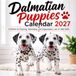 Dalmatian Puppies Calendar 2027
