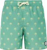 Protest PRTFONZ JR Jongens Zwembroek Frosty Green Effen