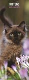 Magnet & Steel Kittens Kalender 2025 Slimline