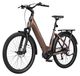 Bafang Vélo électrique - Z5 - 75 Nm couple - 250 W - 36 V 18 Ah batterie - Marron mat