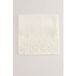 Ted Baker Keriisa Strickschal mit Strasssteinen Creme