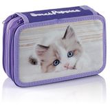 Favorit Etui met 3 ritssluitingen voor school, bevat 12 kleurpotloden en 18 viltstiften, 20 x 13 x 7,5 cm, met 3 vakken, roze en aquamarijn, Kattenversie