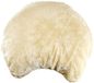 Beeztees K BZ Reservematras, crème voor 409009