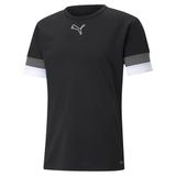 Puma Unisex Teamrise Jersey Ce Jerseys (Pack van 1)