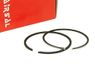 Zuigerring AIRSAL Zuigerring set 50cc Sport - Kymco (Kwang Yang)-Dink 50 SH10C