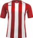 Acerbis Sports JOHAN STRIPED S/SL JERSEY (Sportshirt) Rood/Wit