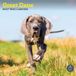 Baker & Bray Duitse Dog Kalender 2027 Wandkalender