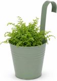 Pro Garden Bloempotje met haak - plantenbak zink met ophanghaak - groen - 20 x 13 x 26 cm