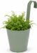 Pro Garden Bloempotje met haak - plantenbak zink met ophanghaak - groen - 20 x 13 x 26 cm