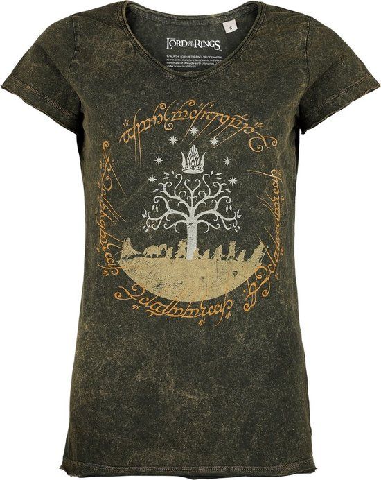The Lord Of The Rings The Journey Dames T-shirt - meerkleurig - S