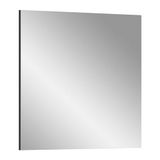 xonox.home Garderobe Canu X4CE1619 spiegel wandspiegel gangspiegel in corpus basalt grijs Nb. ca. 80x73x2 cm