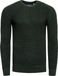 Rusty Neal - Heren Trui Casual Fit Trui - Groen - Maat S