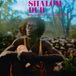 Shalom Radiation Roots Shalom Dub - King Tubby & The Aggrovators LP