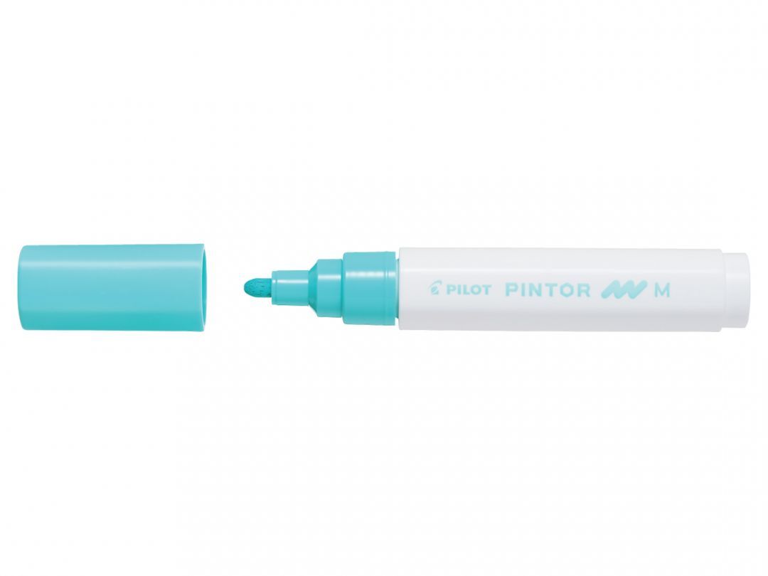 Pilot Pintor - 4902505542046