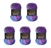 5 Wollbiene Batik Fine 5 x 100 g Wol met Kleurverloop (5900 Paars-Bessenblauw)