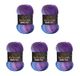 5 Wollbiene Batik Fine 5 x 100 g Wol met Kleurverloop (5900 Paars-Bessenblauw)