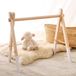 Icecat Structure de jeu en bois pour bébé avec arches amovibles