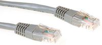 Ewent IM6000 - Netwerkkabel - 0,5 m