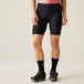 Dare2B AEP Prompt Korte Dames Fietsbroek - Coolmax - Q-Wic - Zwart - Maat 40