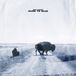 Runs Big Harp - Runs To Blue (CD)
