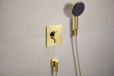 Hansgrohe Ecostat Comfort Q Thermostatische inbouwkraan Gepolijste Gouden Optiek