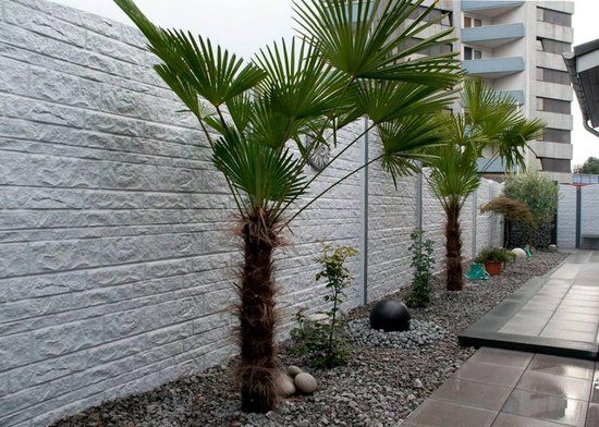 Intergard Beton schutting Fencestone dubbelzijdig 200x231cm