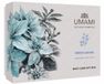 Umami Exclusive Cosmetics Umami Fresh Leaves Geschenkset - Cadeau voor vrouwen - Luxe Bodycare Cadeauset met Bodycrème, Handcrème en Bodymist - Verfrissende Geur van Japanse Munt en Gember