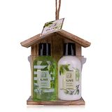 Accentra - doucheset dames cadeauset OLIJF in mooie houten kist - 2-delige verzorgingsset met douchegel en bodylotion - wellness cadeauset voor verjaardagen, Valentijnsdag & Kerst